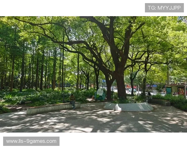 龙华区开展赛事通道环境整治，新增绿化超3万平方米